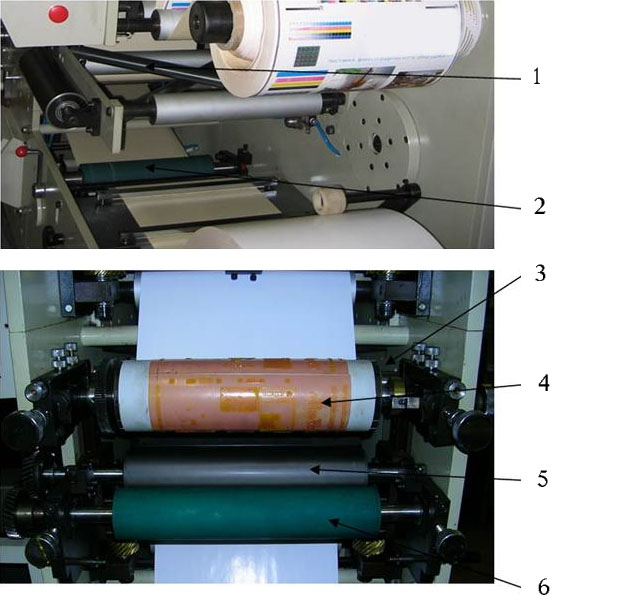 print_section